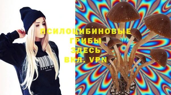 молекула духа Белокуриха