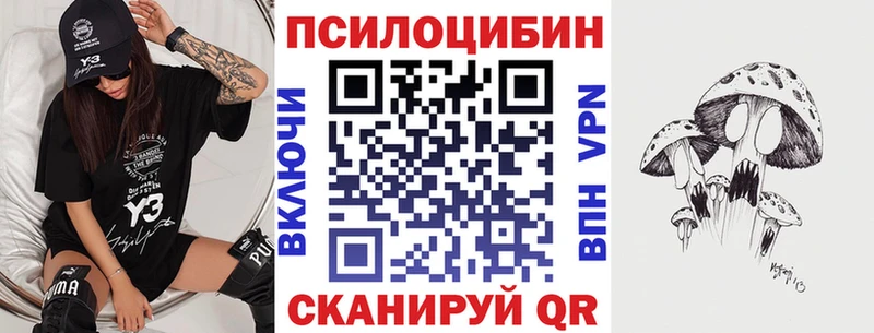 Галлюциногенные грибы мухоморы  гидра зеркало  Дальнегорск  где найти наркотики 