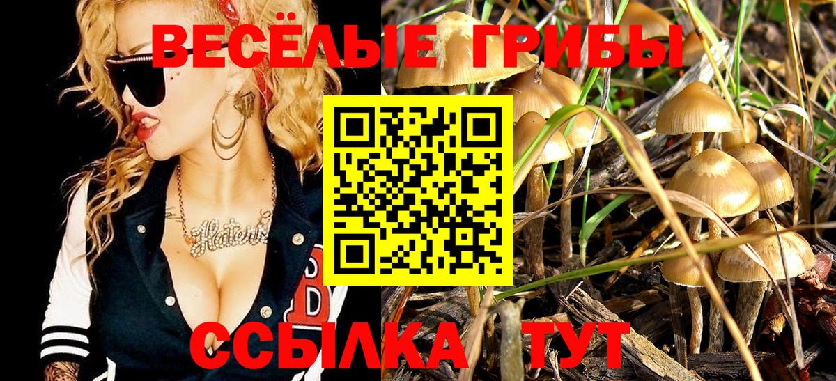 Псилоцибиновые грибы Magic Shrooms  где купить наркоту  Дальнегорск  Вход с VPN 
