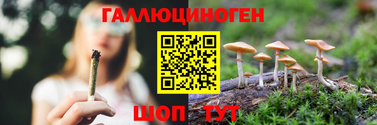 Галлюциногенные грибы MAGIC MUSHROOMS Дальнегорск